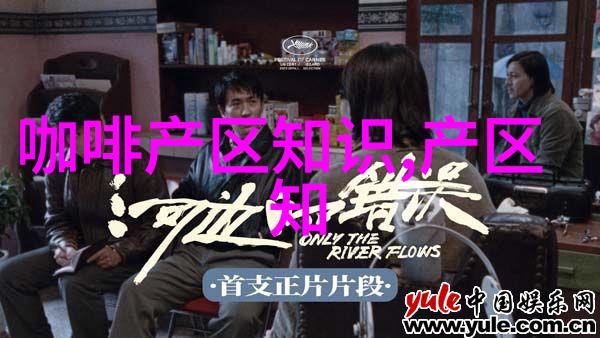 水洗处理的西达摩咖啡介绍西达摩咖啡产区庄园介绍精品咖啡豆