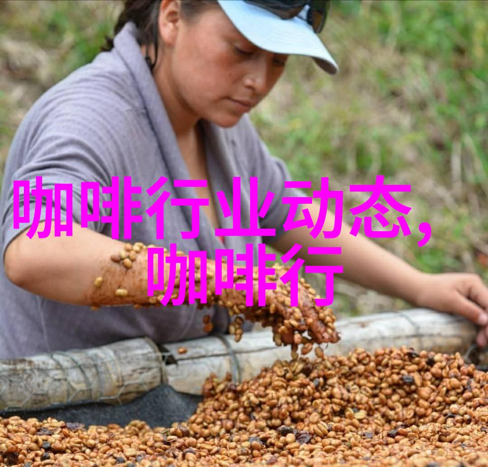 旧街场咖啡的基础常识 教你如何区分旧街场咖啡